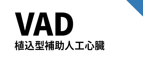 VAD 補助人工心臓